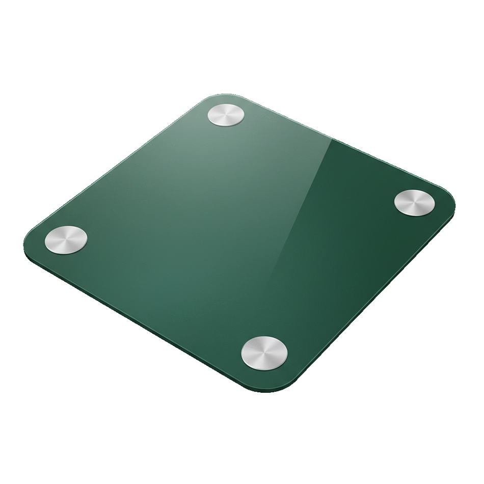 Digital Scale